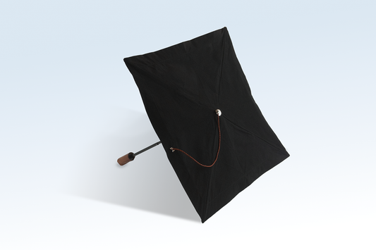 【数量限定販売】ZENSHADE/黒染